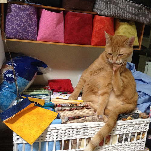 Nina and the Fat Quarters