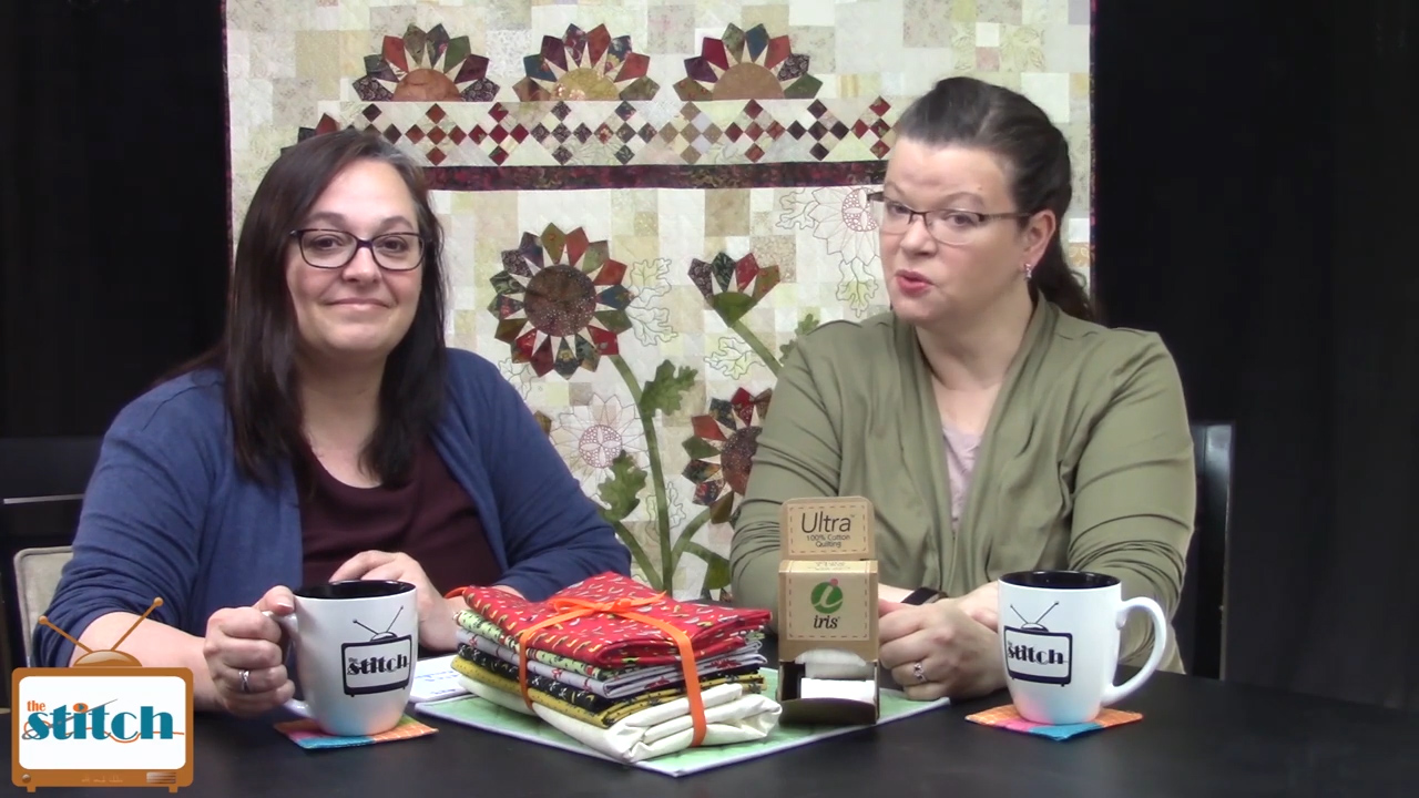 The Stitch TV Show 423- Becoming a Quilt Appraiser and Overcoming Creative Blocks